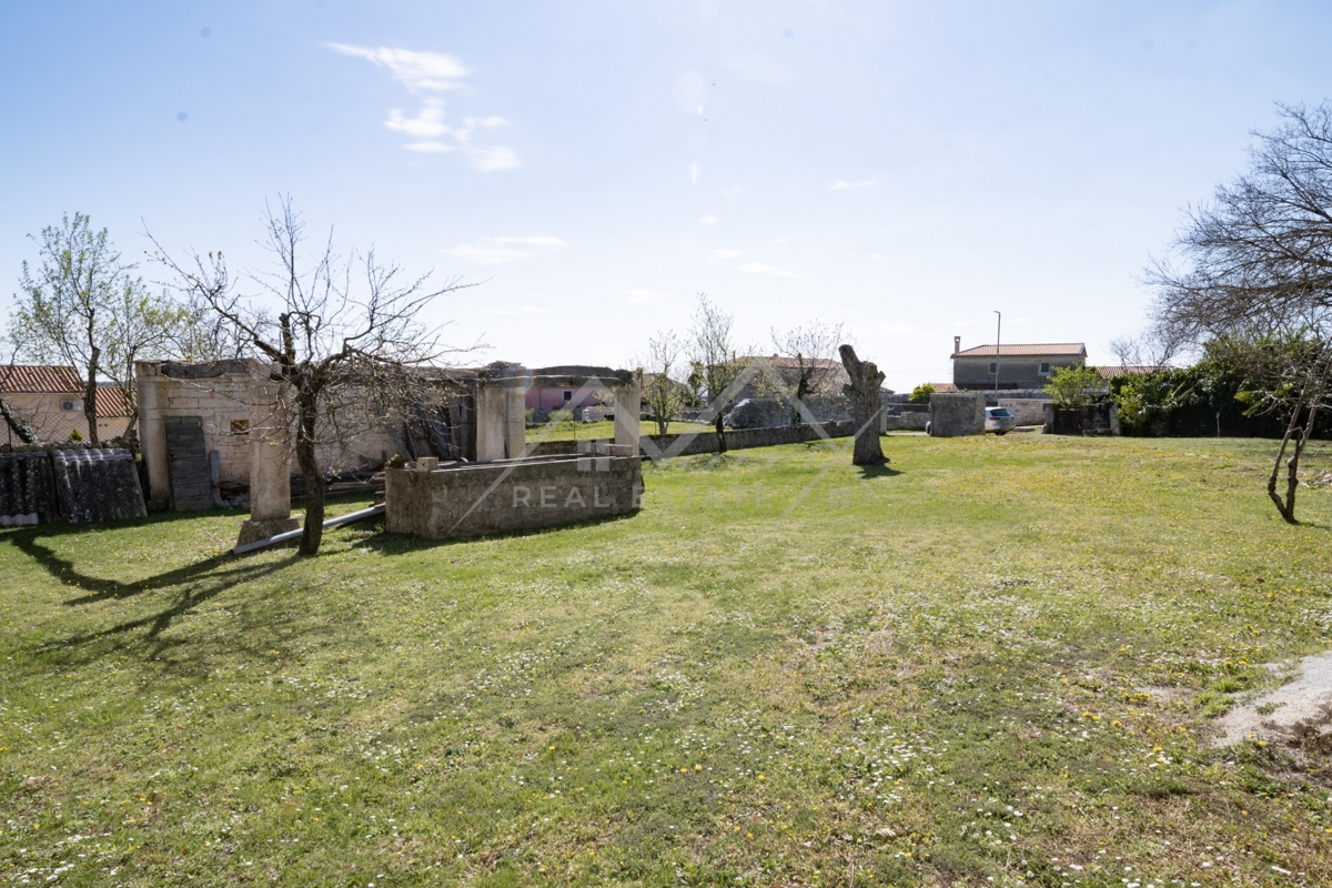 image 13