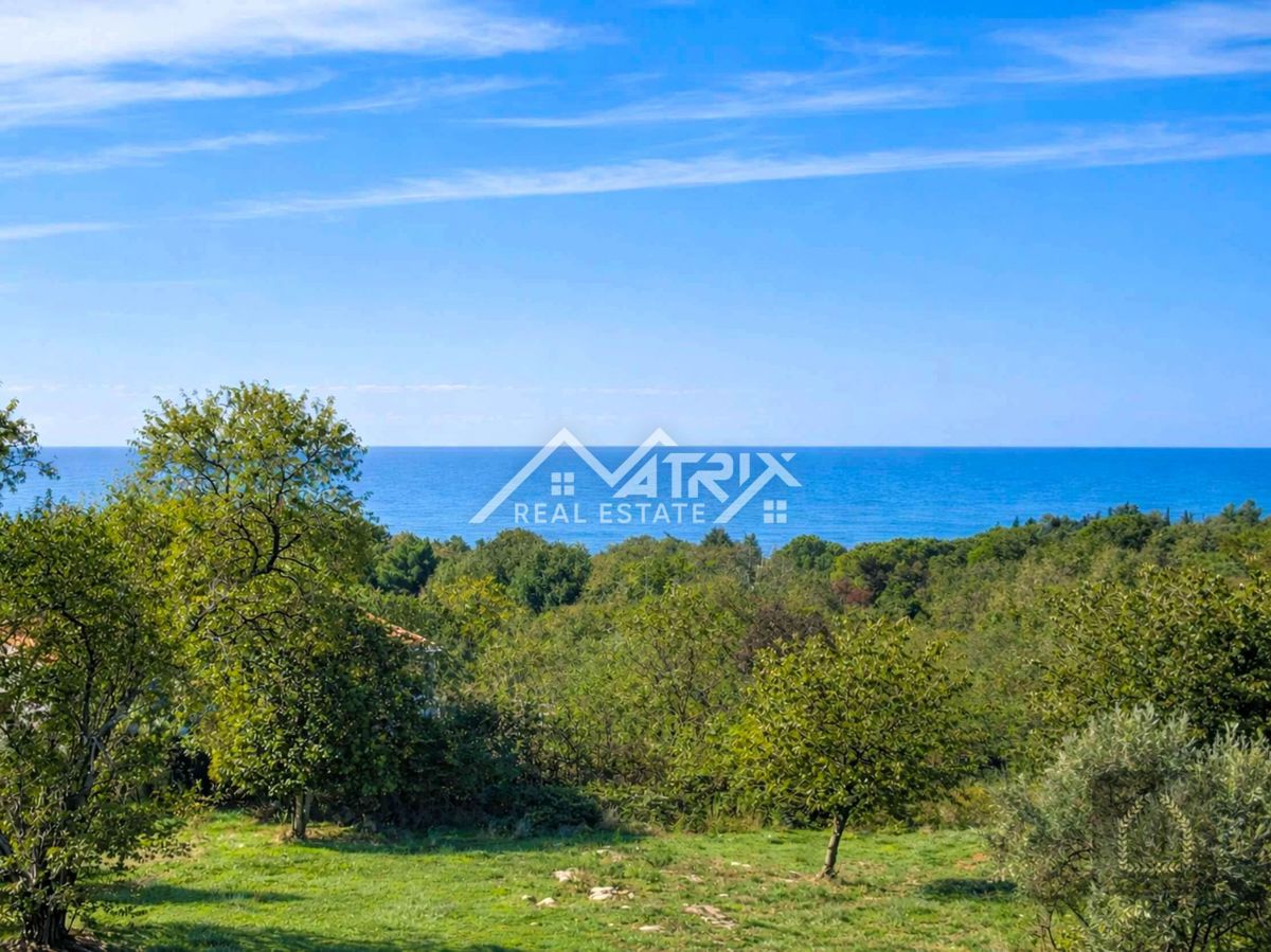 Poreč, Luxuriöse Villa mit Pool, 500 Meter vom Meer entfernt – 3