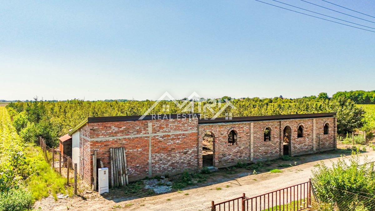 PETRIJEVCI
