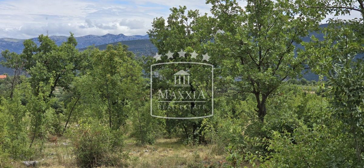 Terreno NOVIGRAD, 58.000 €