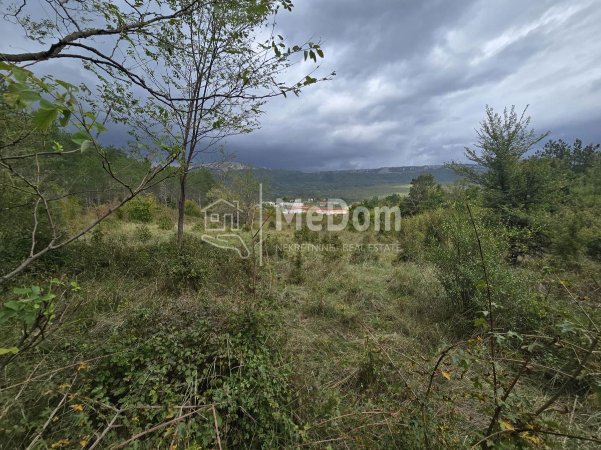 BUZET