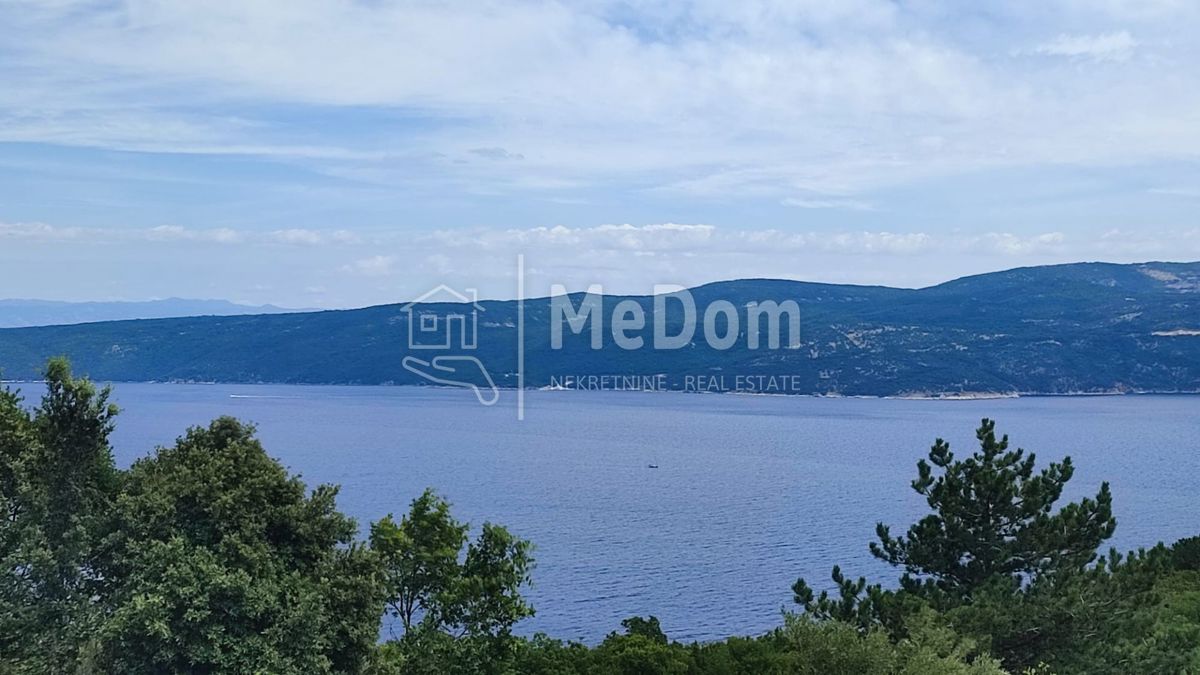 PLOMIN
