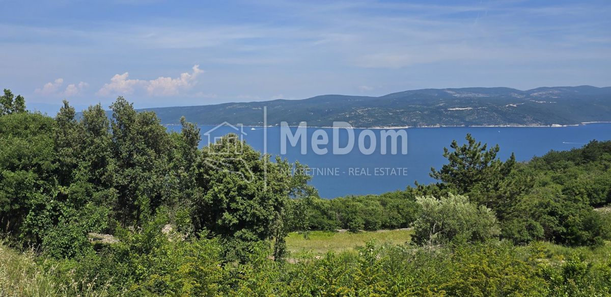 PLOMIN