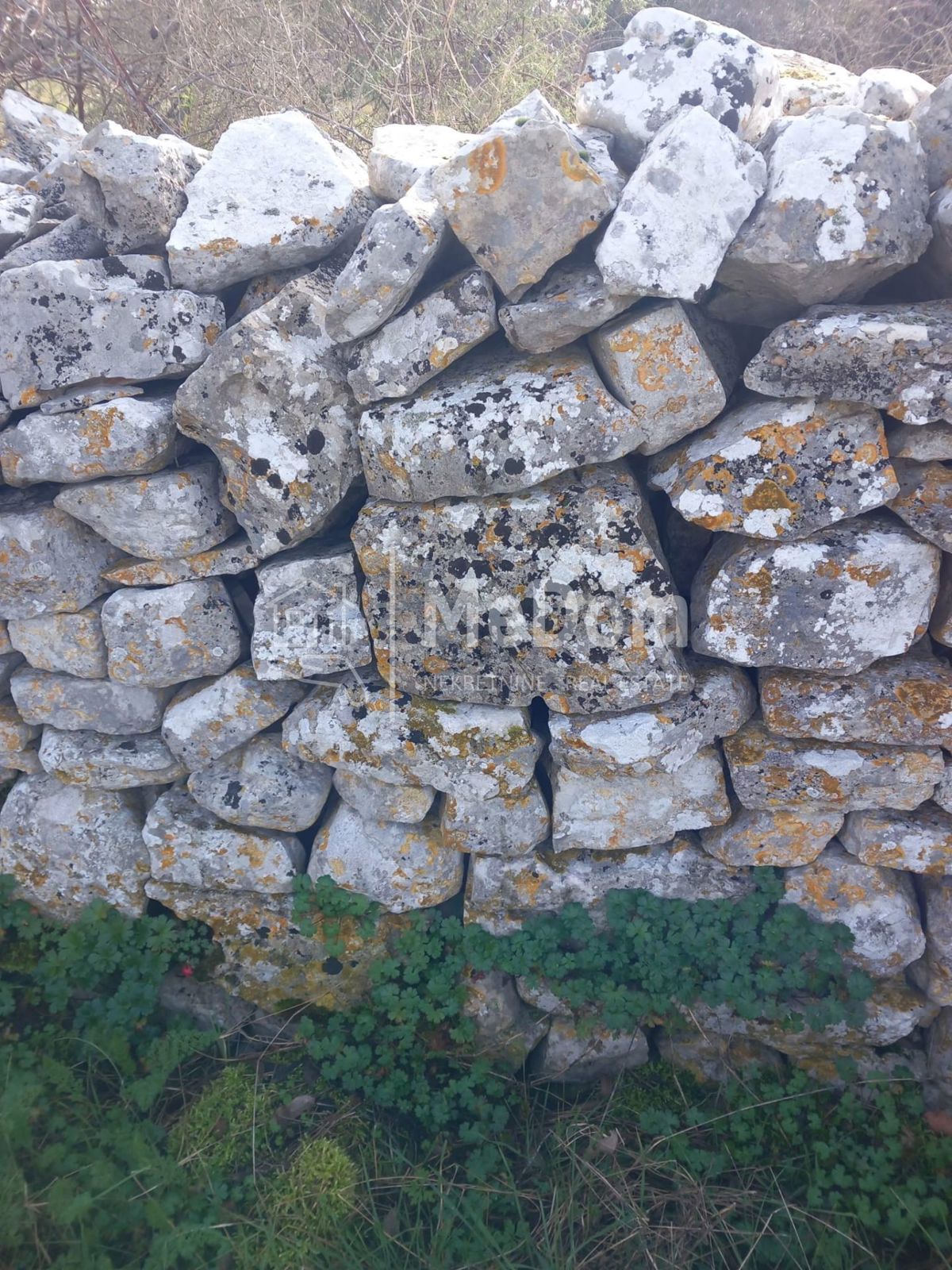 SVETVINČENAT