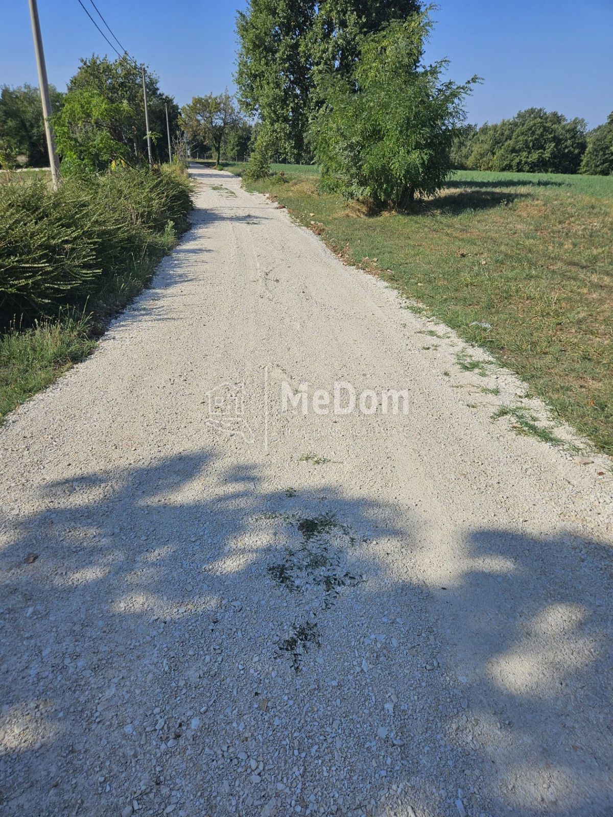 ŽMINJ