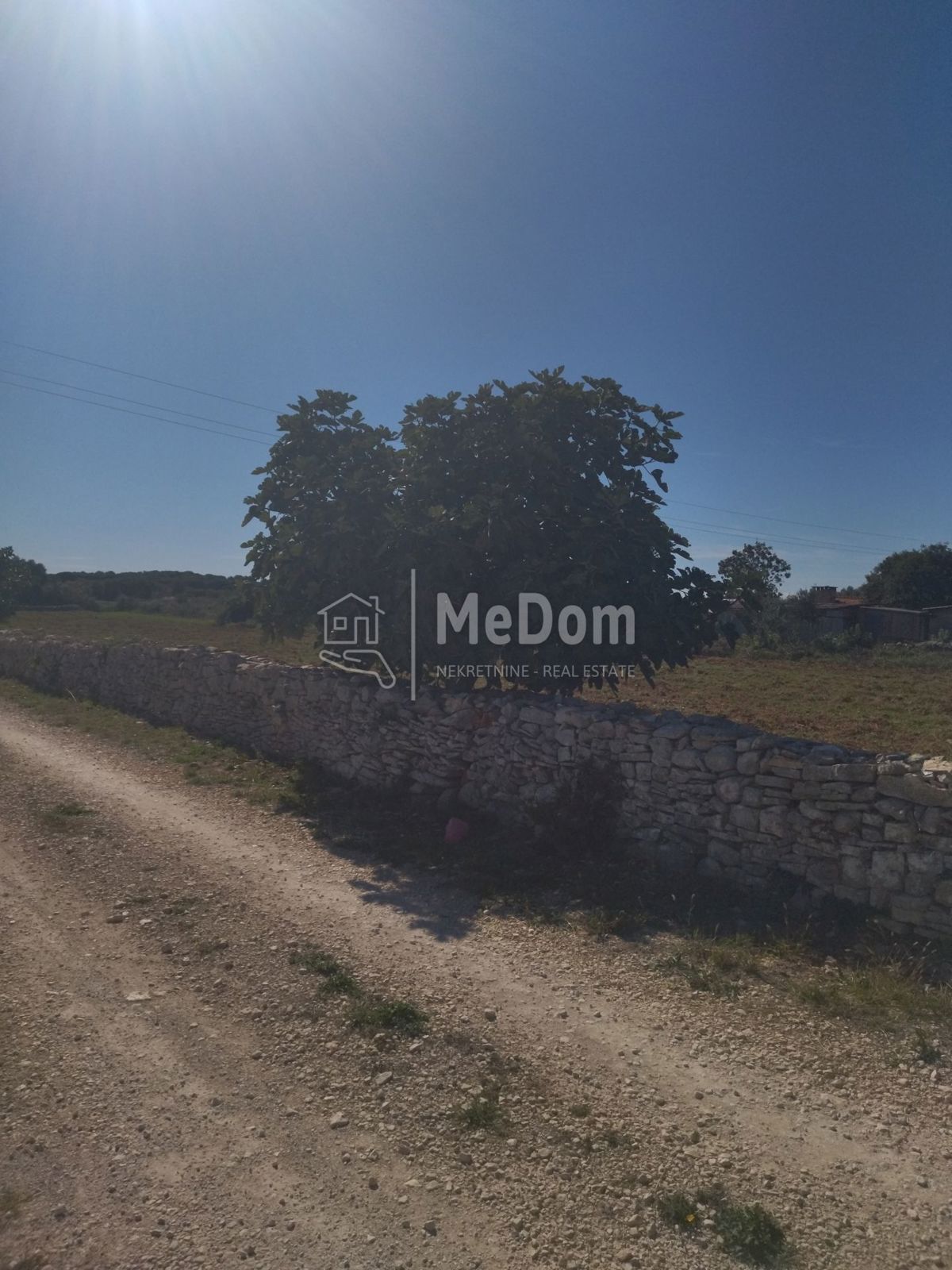 FAŽANA