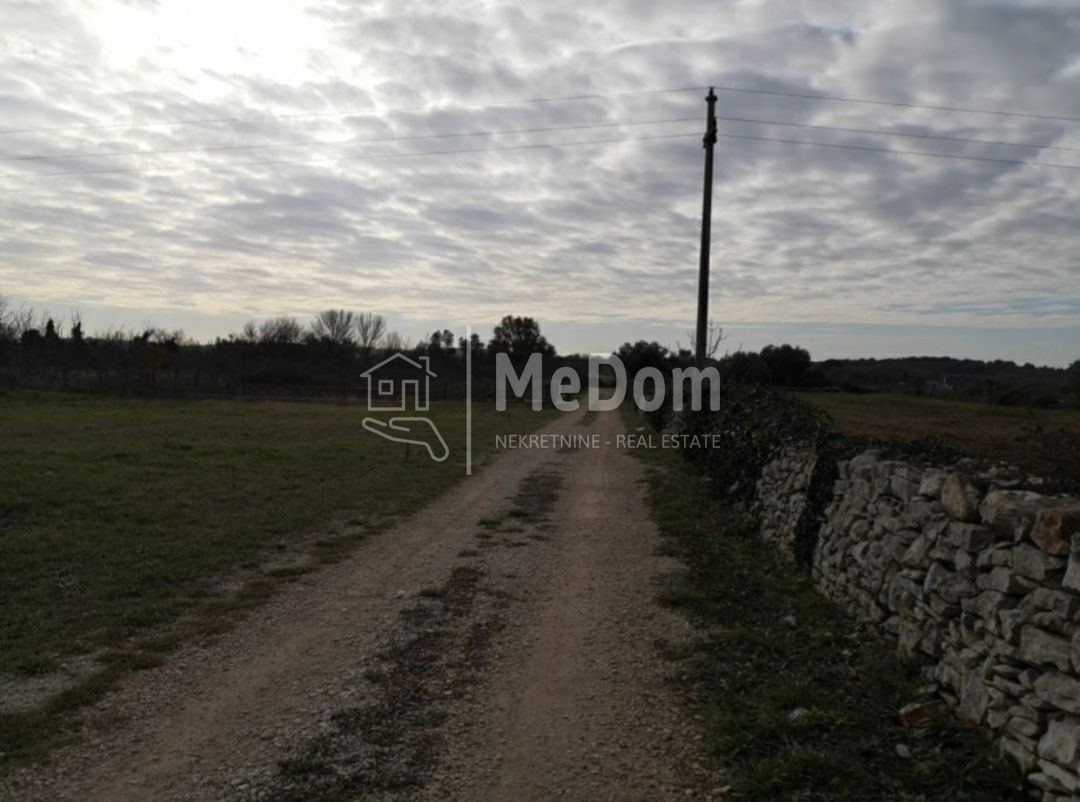 FAŽANA
