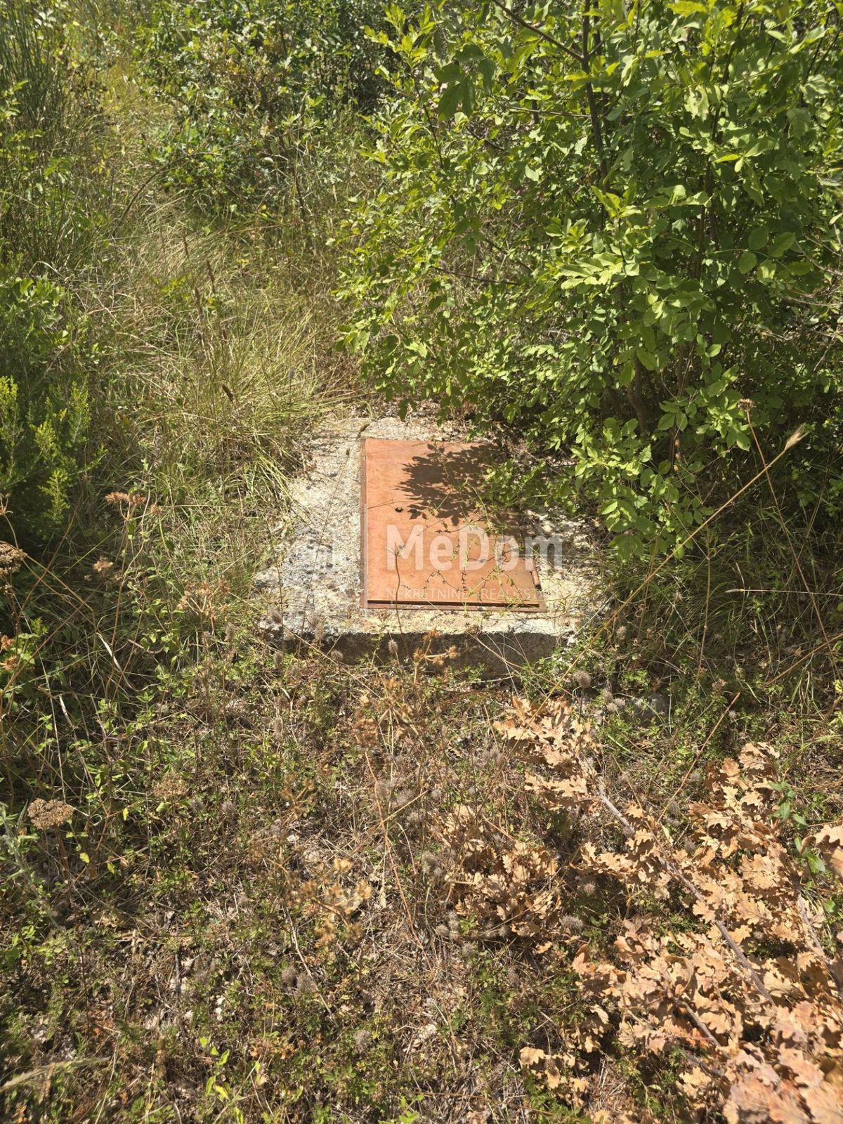 PEROJ