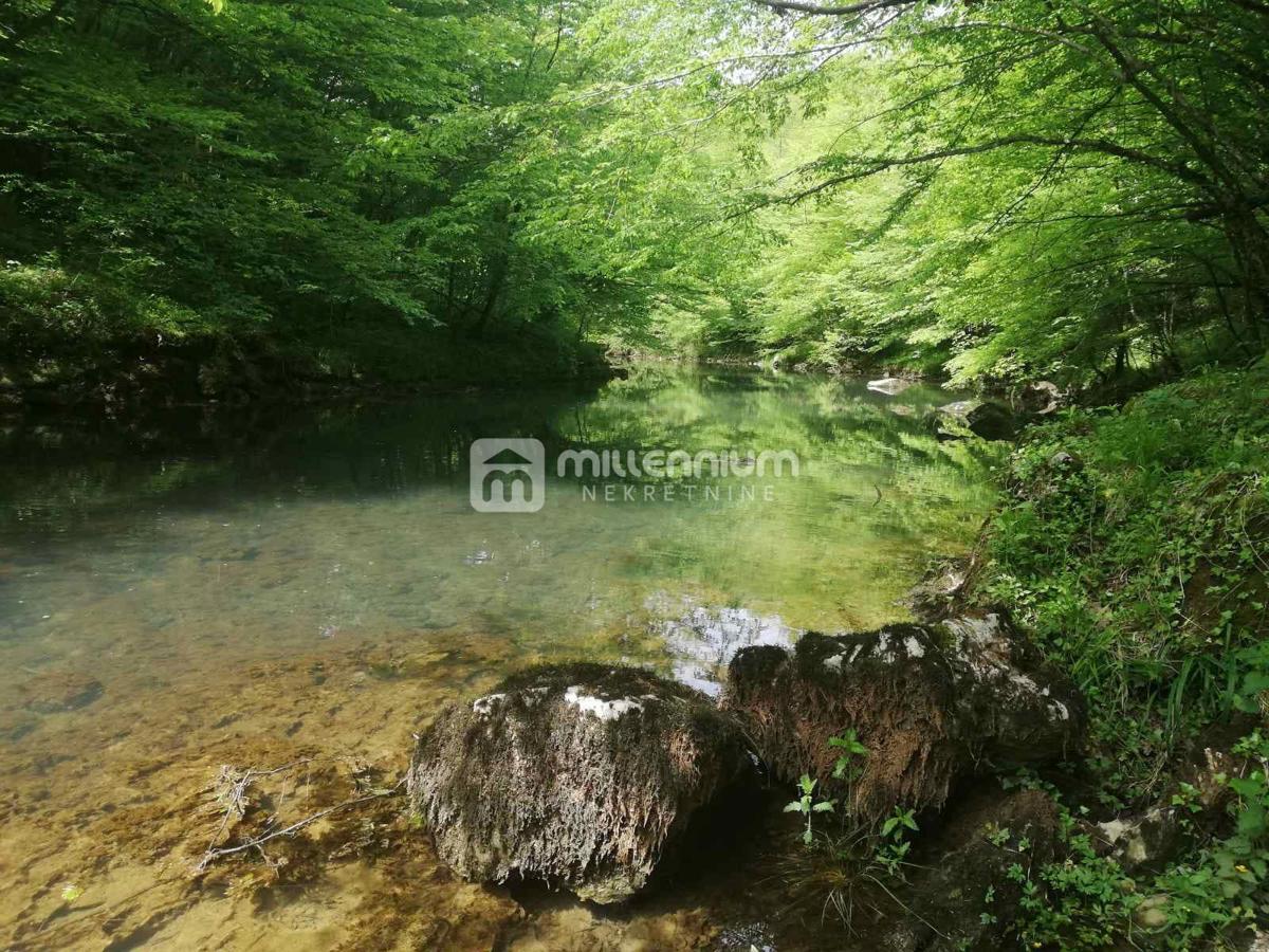 OGULIN