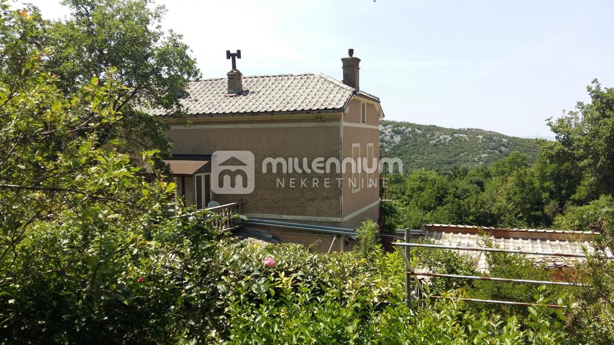 GRIŽANE