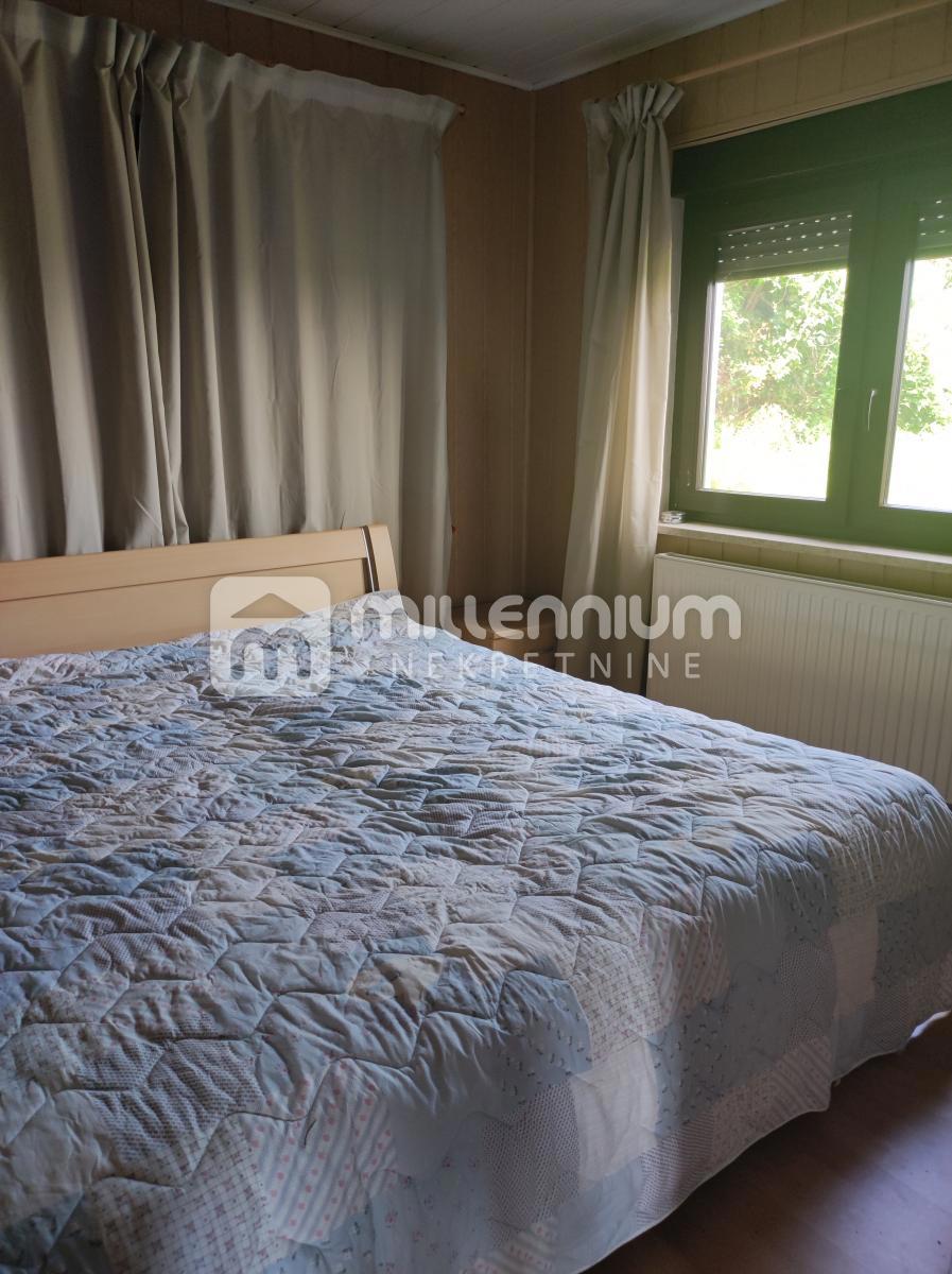 PLEŠIVICA