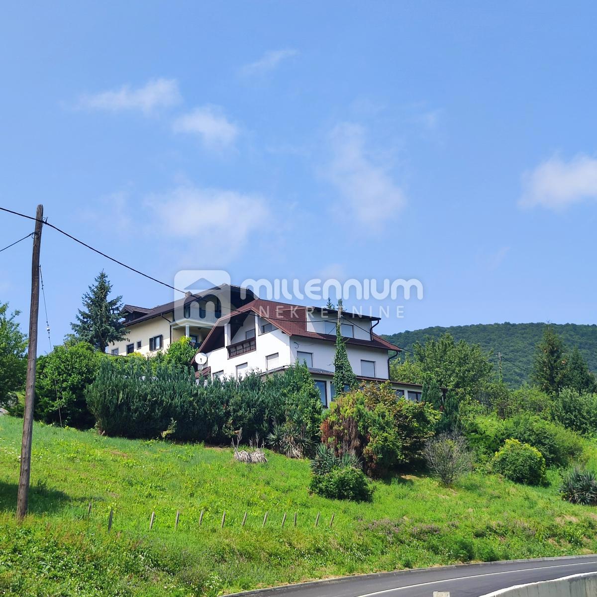 PLEŠIVICA