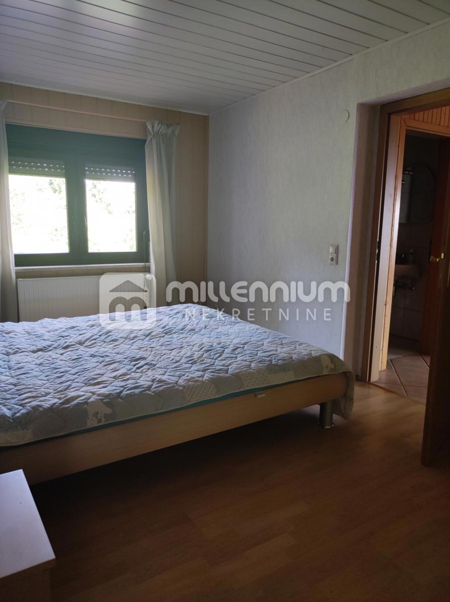 PLEŠIVICA