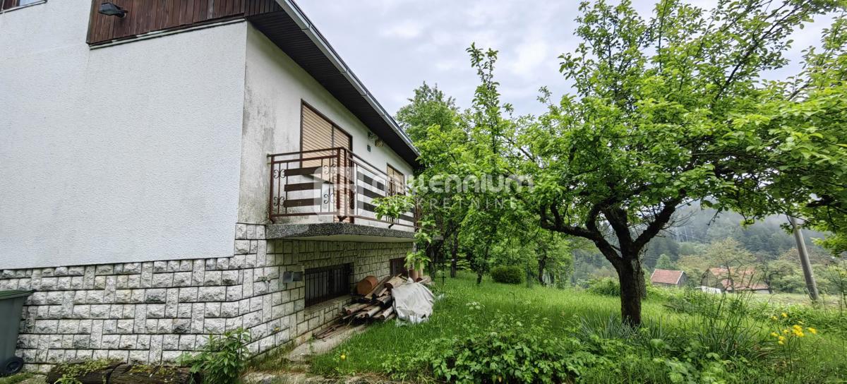 STARA SUŠICA