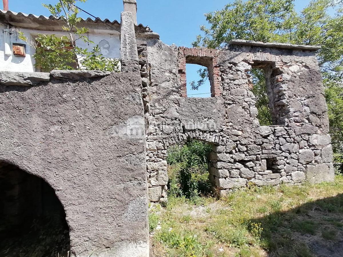DRAŽICE