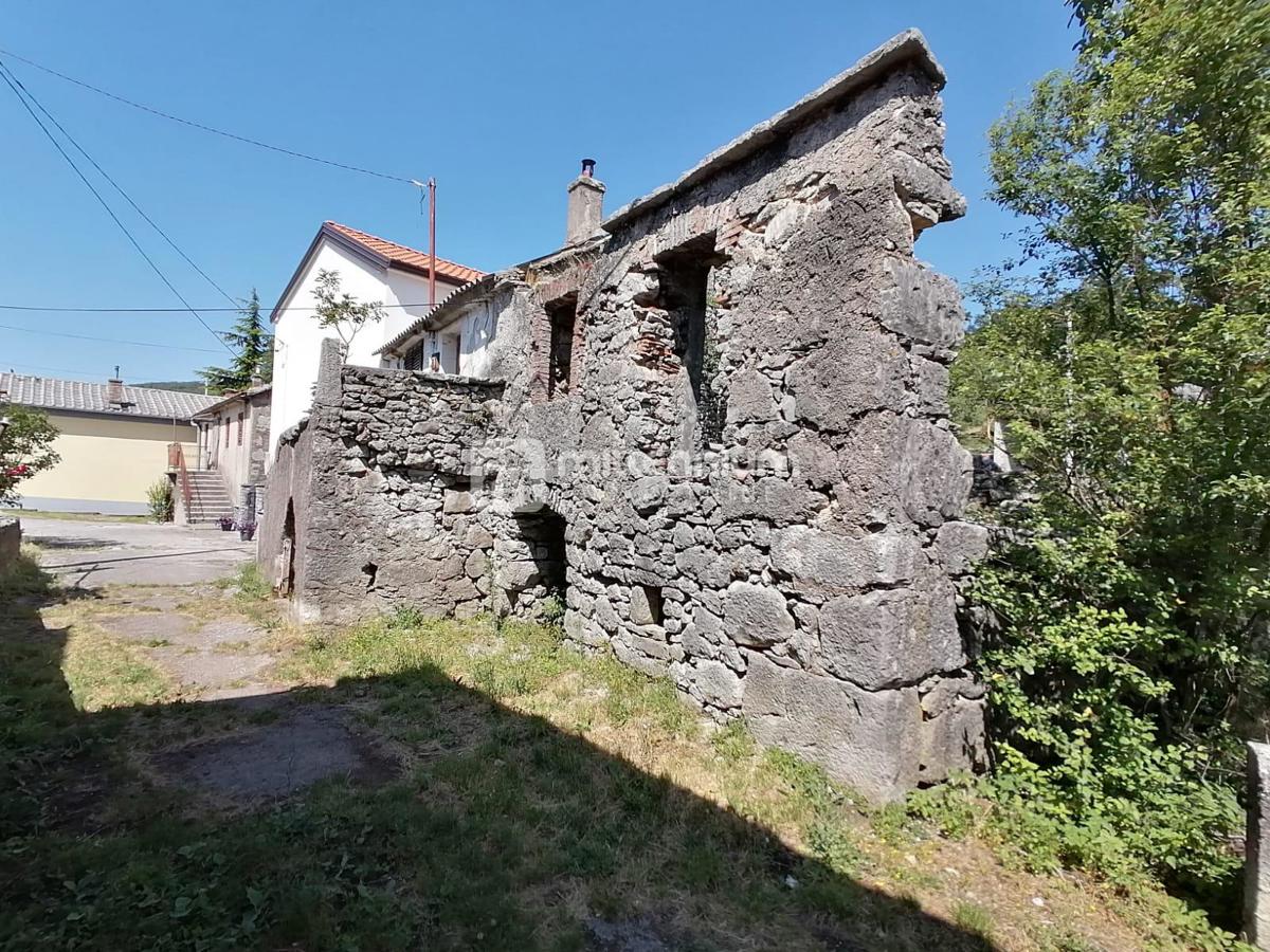 DRAŽICE