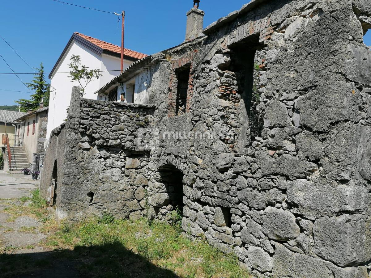 DRAŽICE