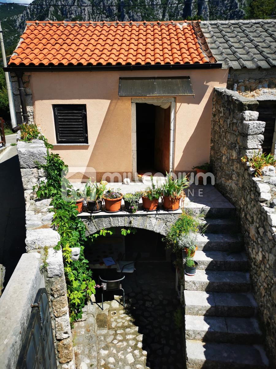 GRIŽANE