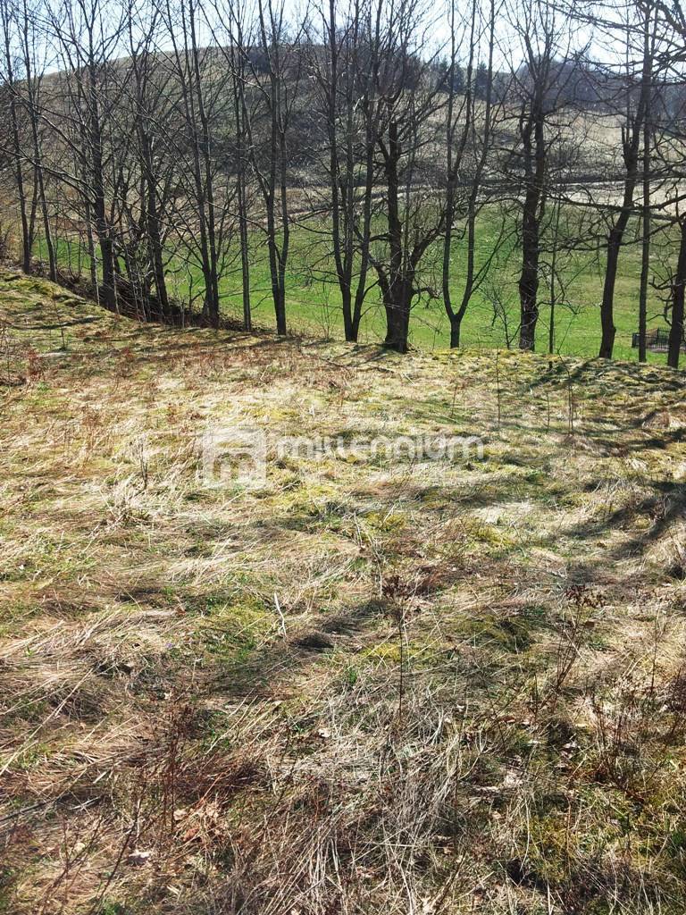 Gorski kotar, Begovo razdolje, 5.000m2 – 2