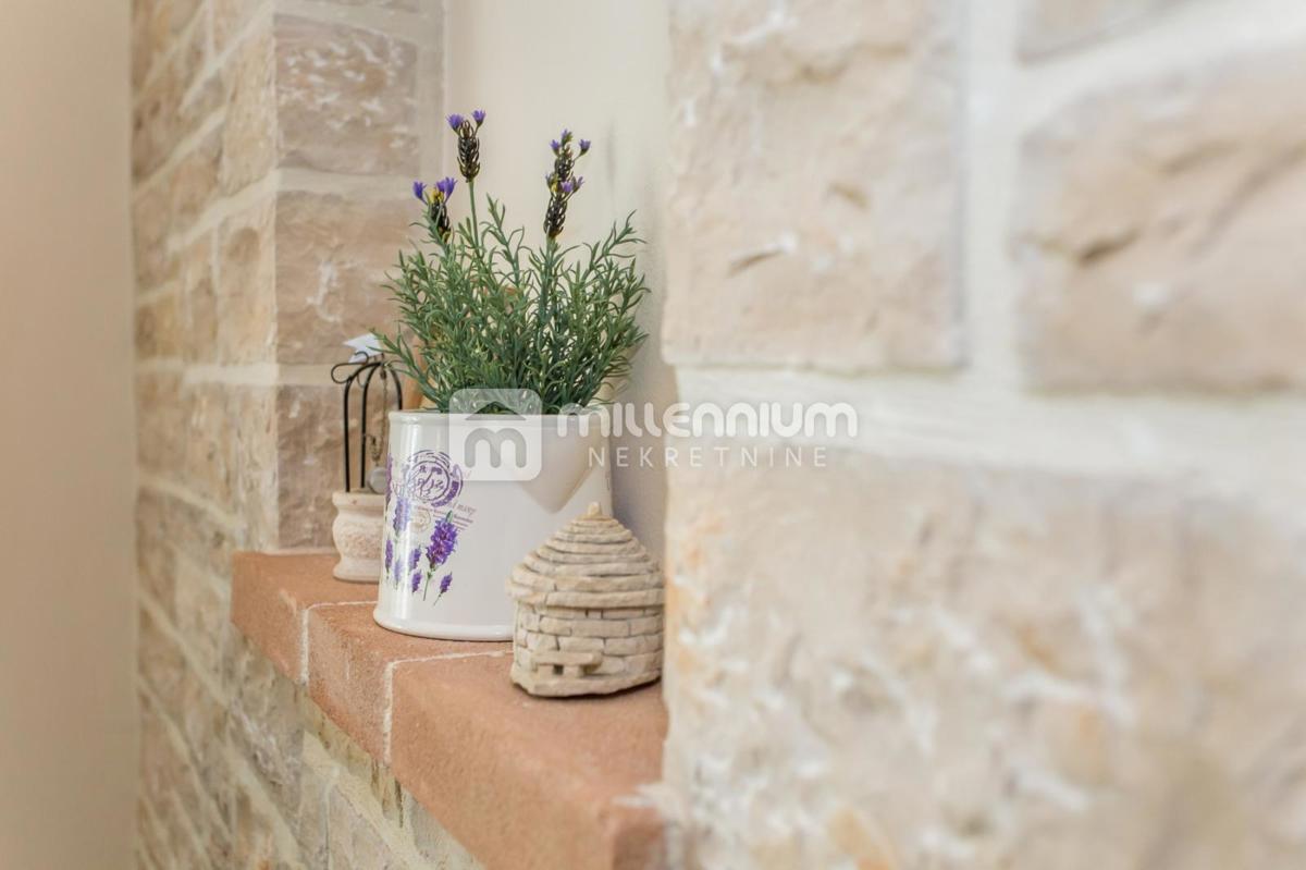 image 28