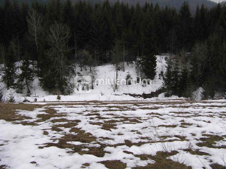 JASENAK
