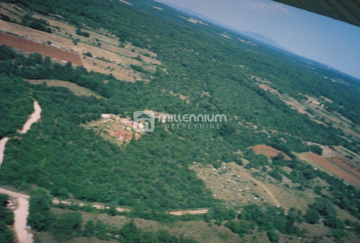 KANFANAR