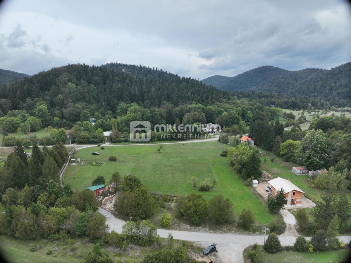 LIČ