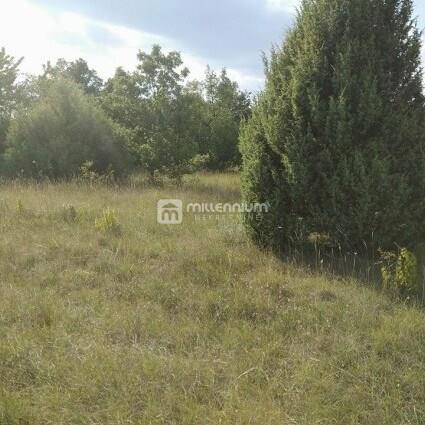 Istra, okolica Bala, poljoprivredno zemljište od 35.000m2 – 3