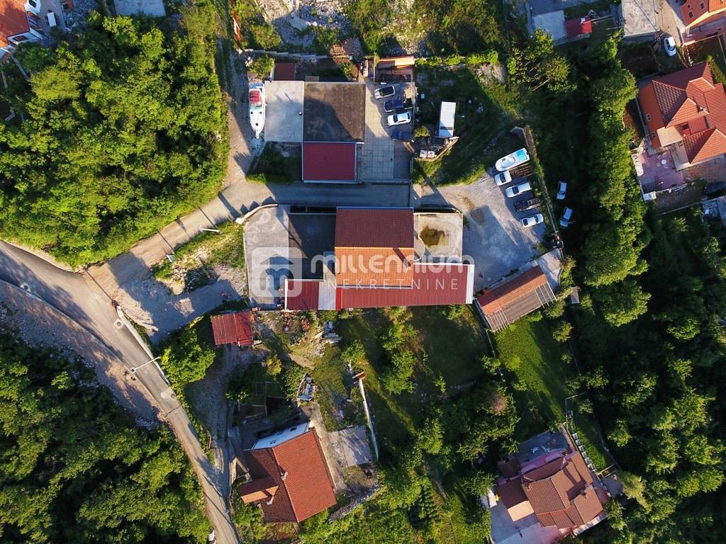 MARINIĆI