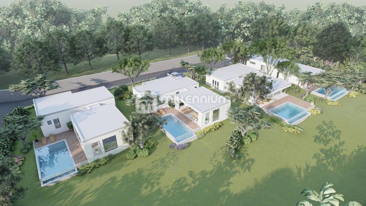 image 25