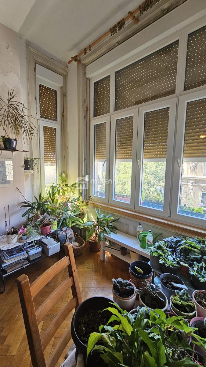 Wohnung Belveder, Rijeka, 159,12m2 – 2