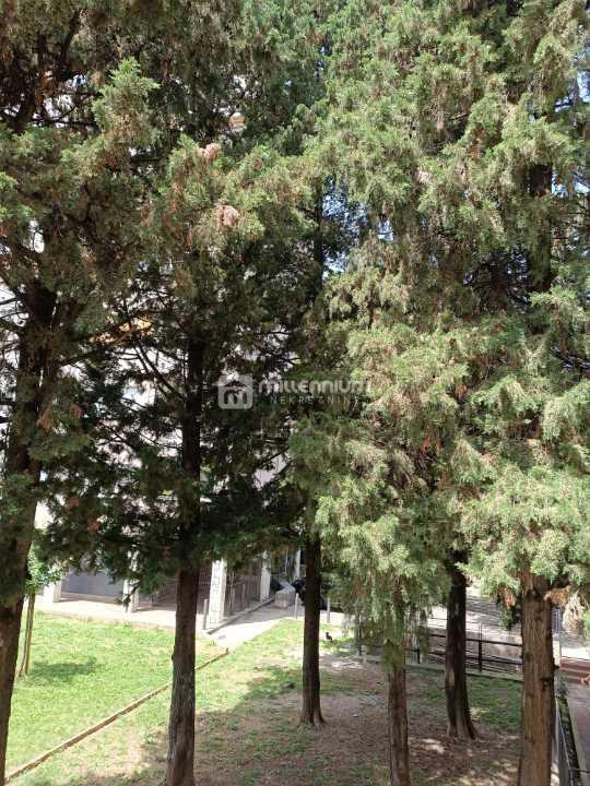 Slika nekretnine