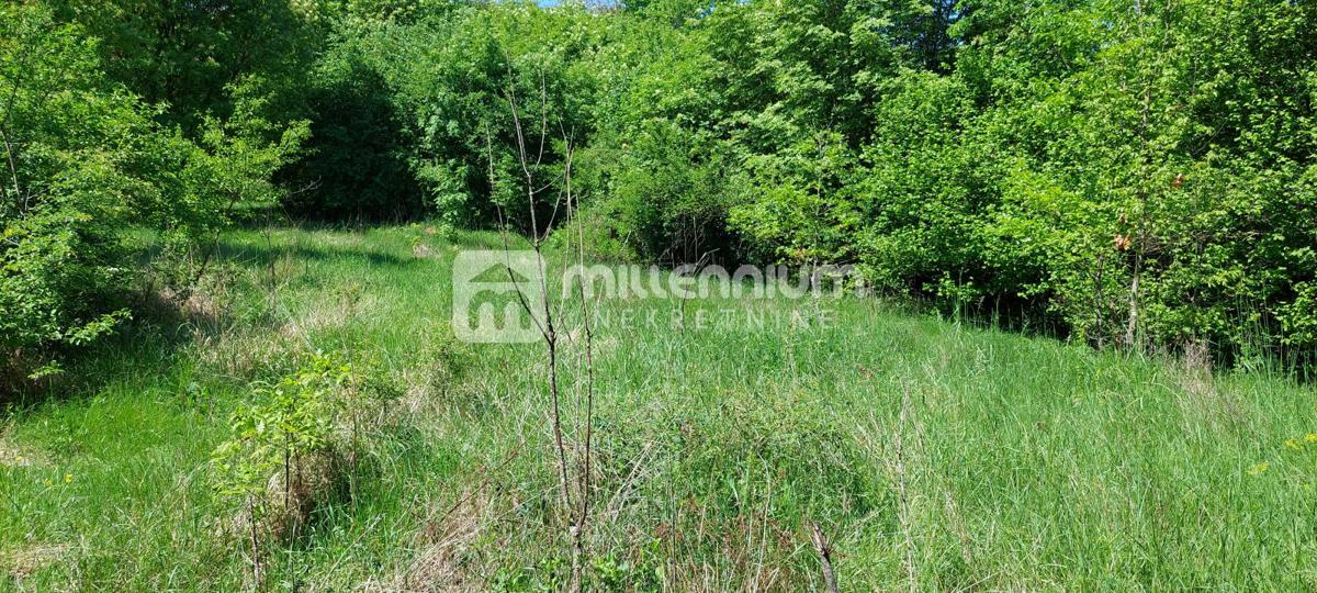 Veli Brgud, zemljište od 2.763m2 – 2