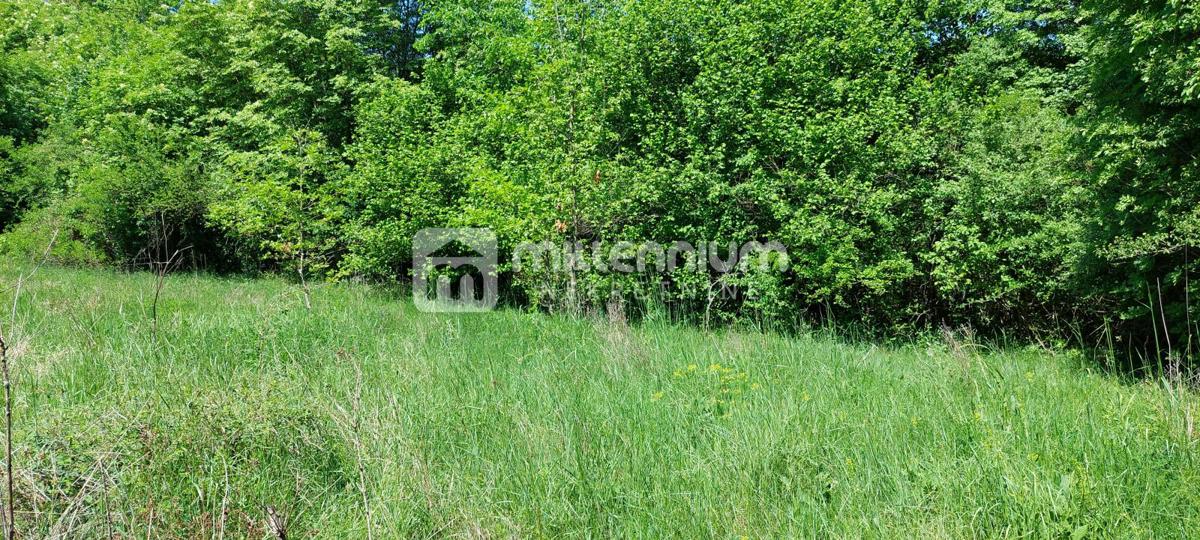 Veli Brgud, zemljište od 2.763m2 – 3
