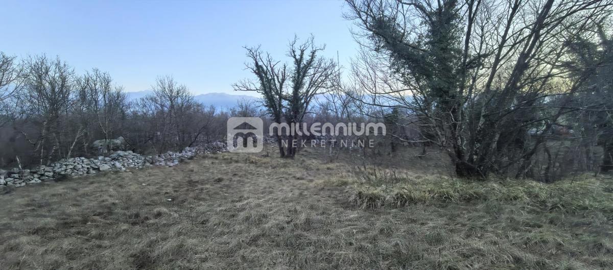 CERNIK