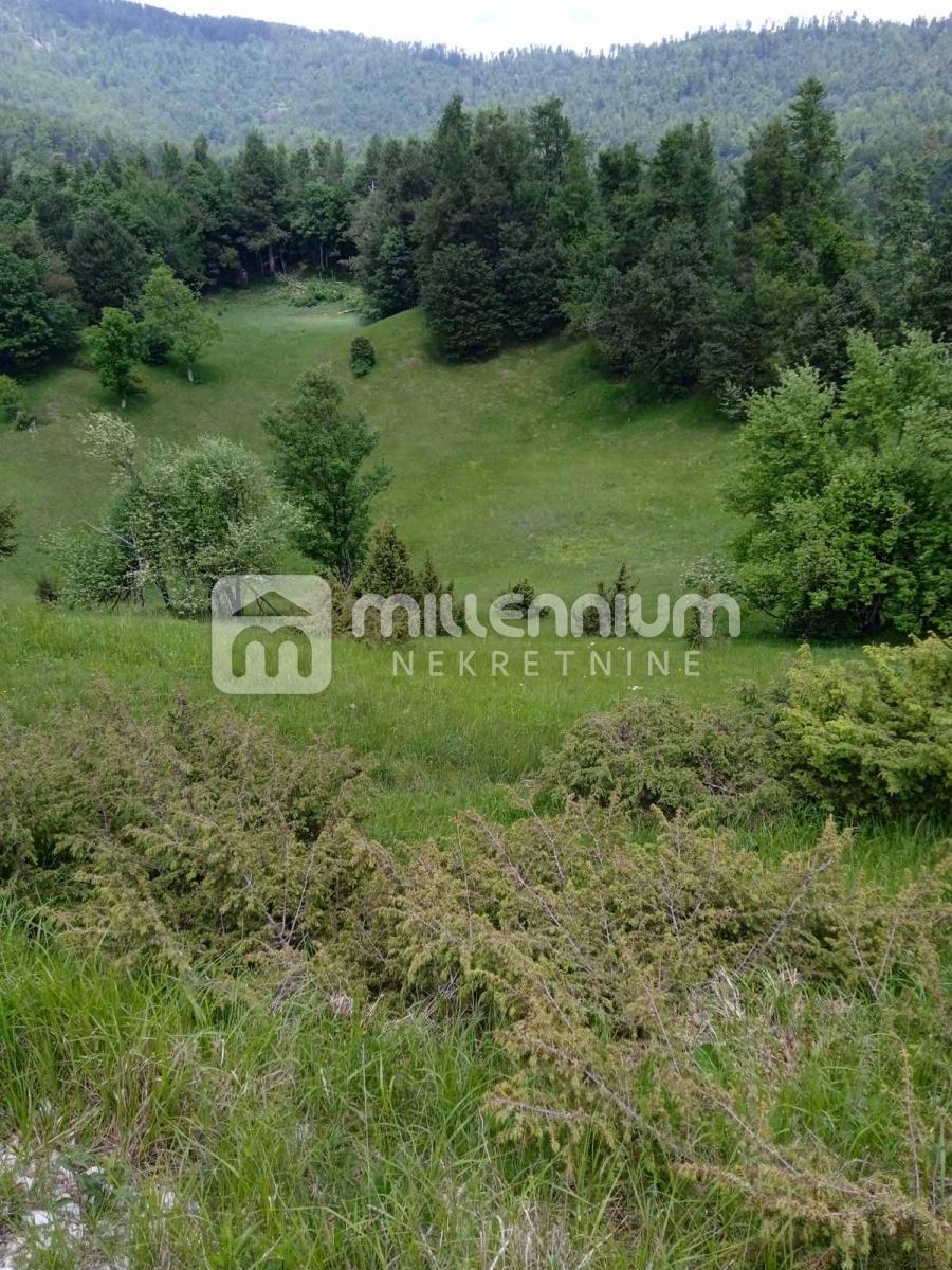 Jelenje, Lepenice, građevinsko zemljište od 11.937m2 – 2