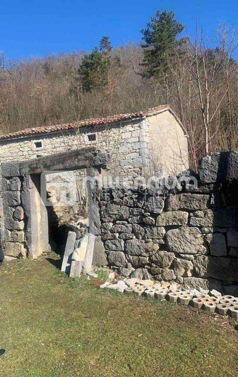 BUZET