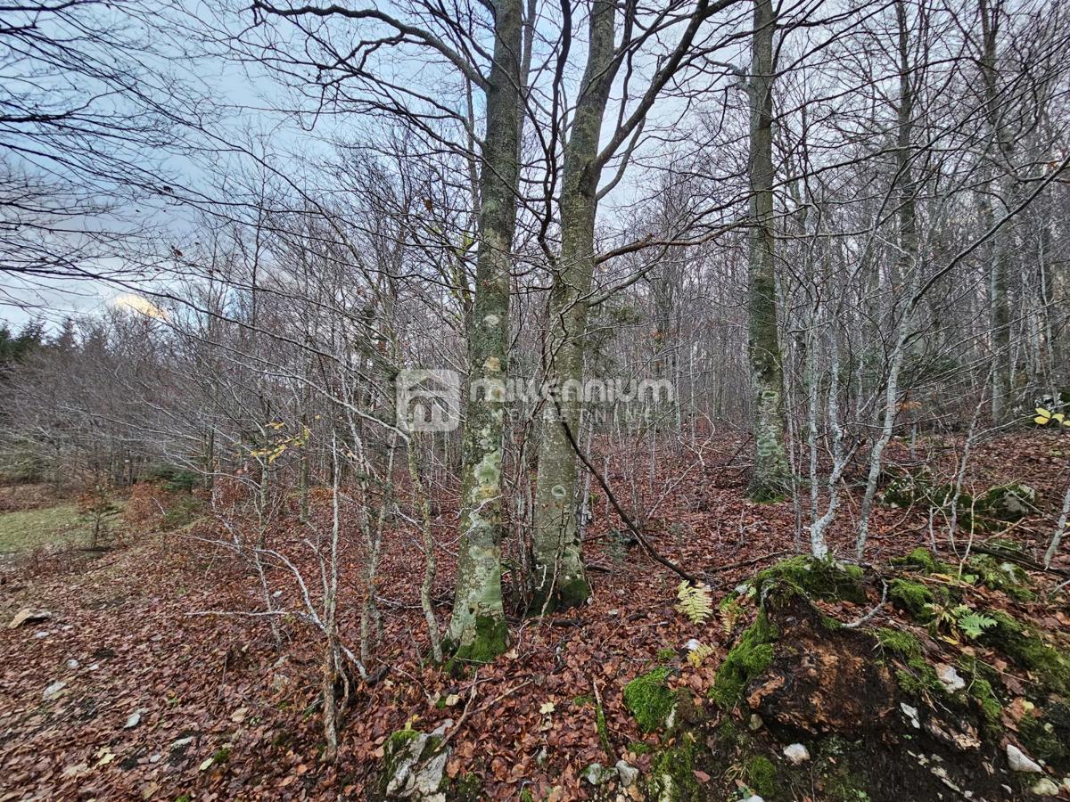Gorski kotar, Lič, građevinsko zemljište, 2.930m2 – 2