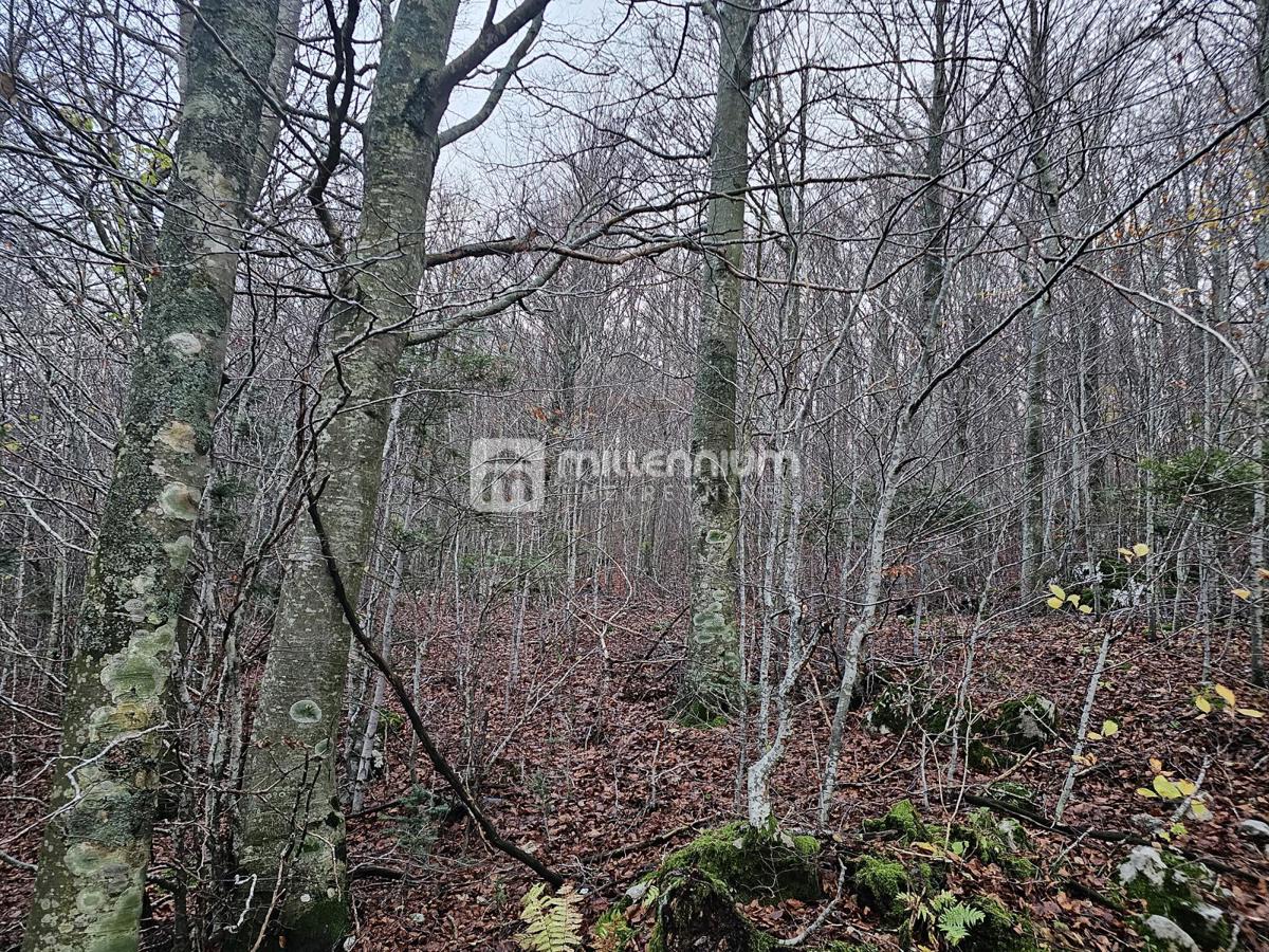 Gorski kotar, Lič, građevinsko zemljište, 2.930m2 – 3