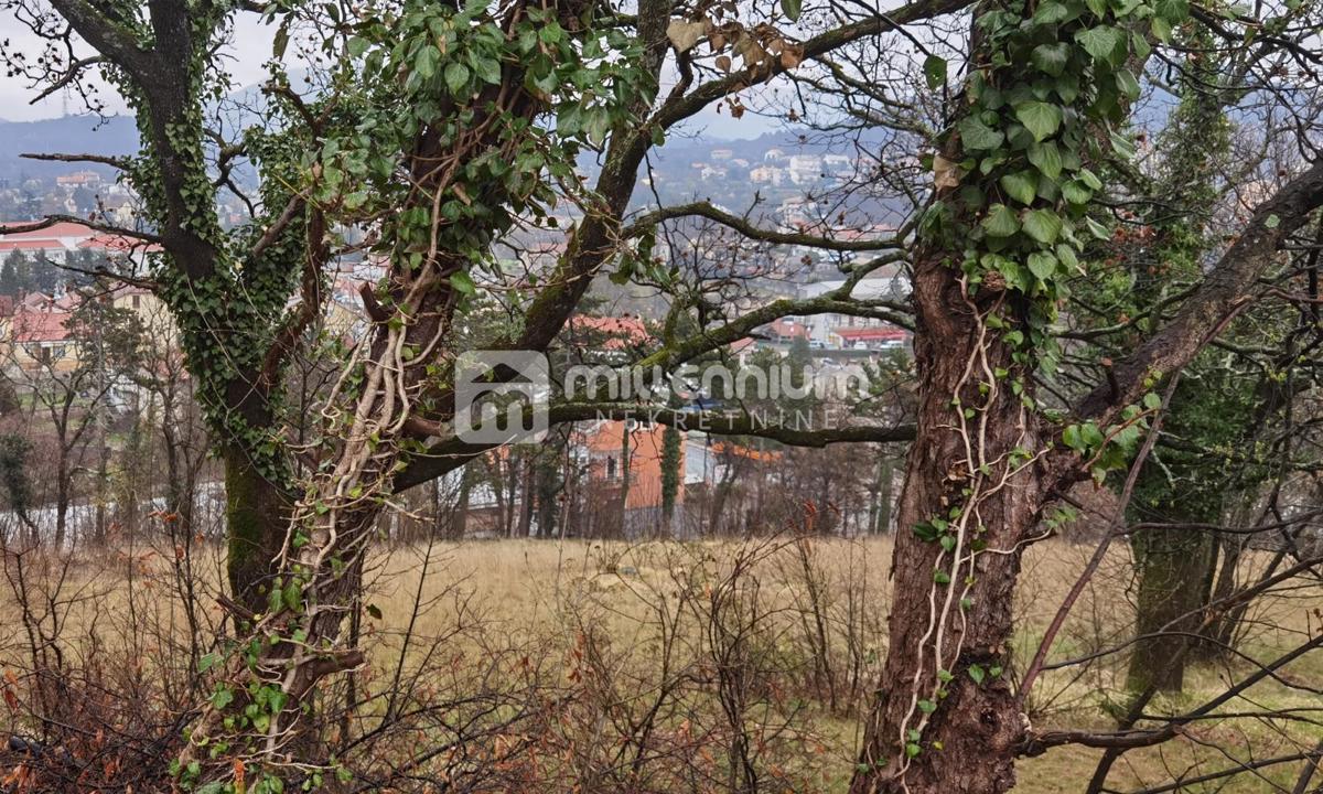 ČAVLE