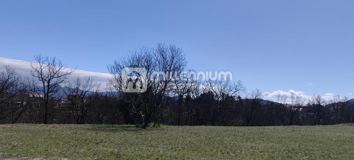 JELENJE