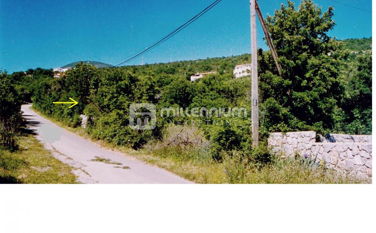 KLENOVICA