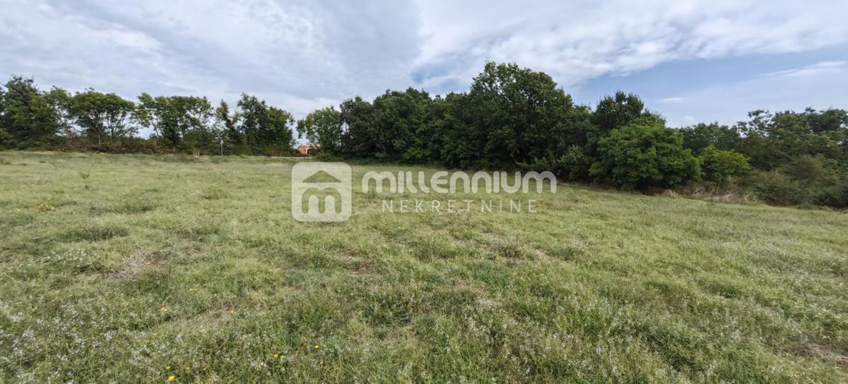 MARČANA