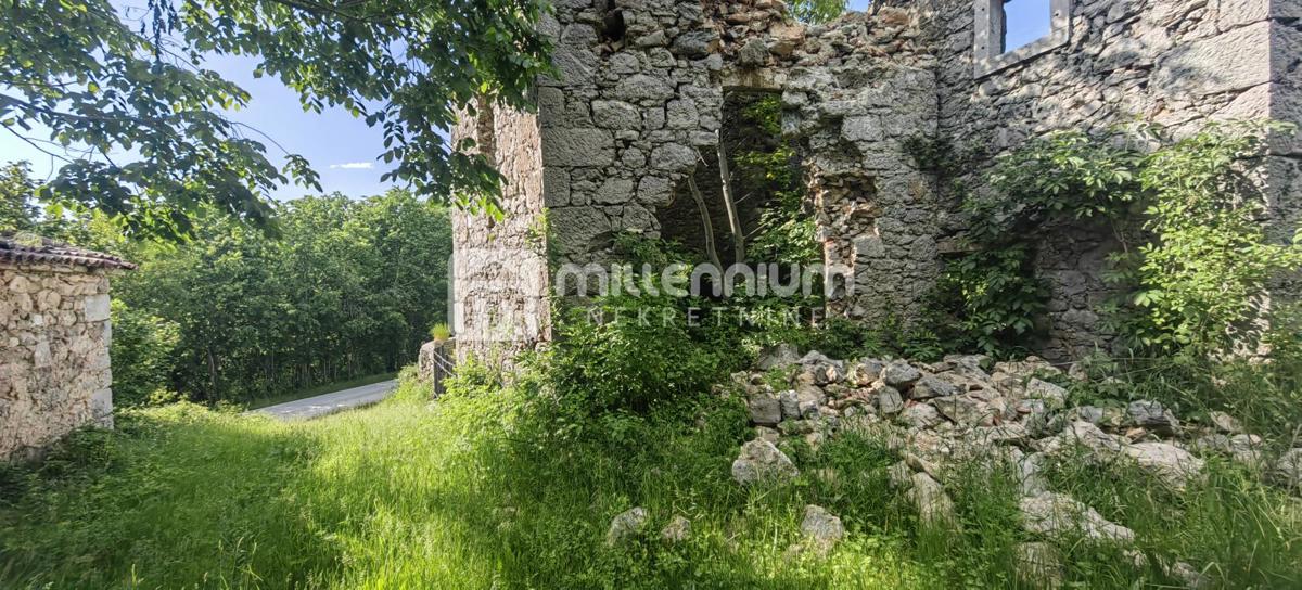 LANIŠĆE
