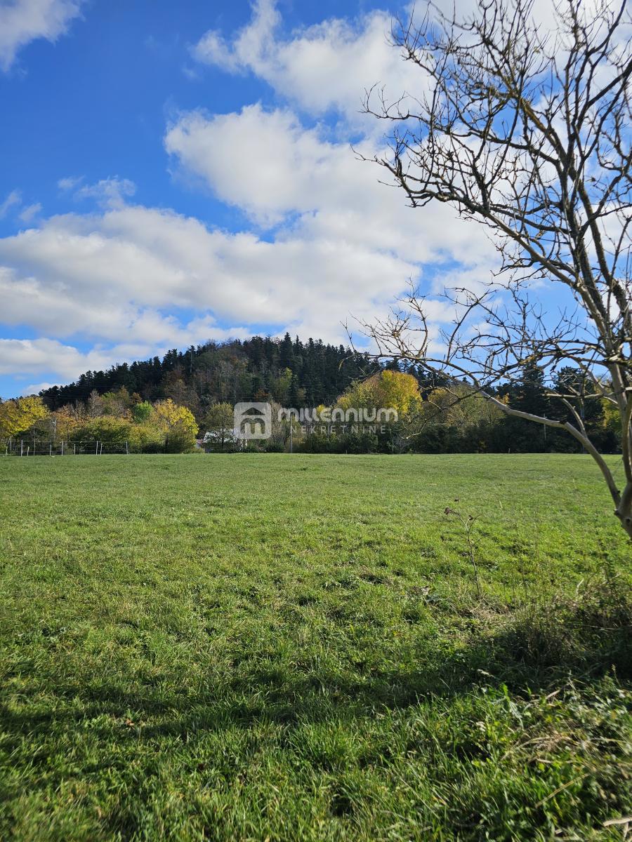 LIČ