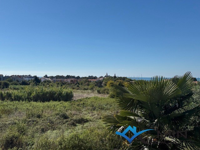 NOVIGRAD