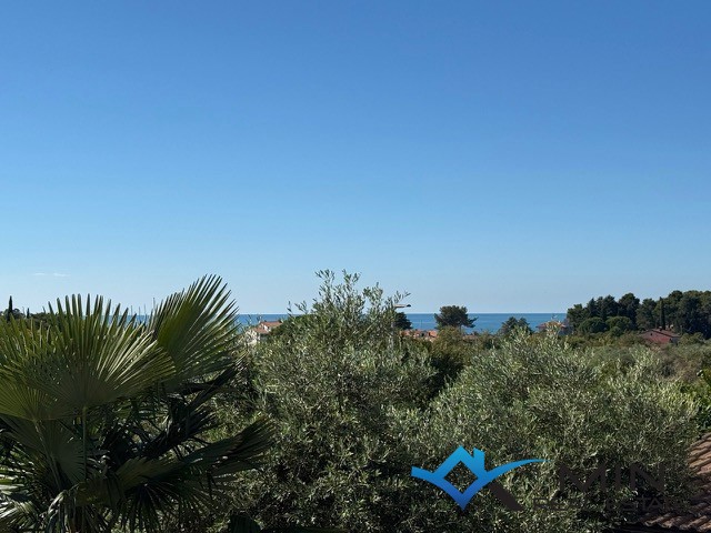 NOVIGRAD