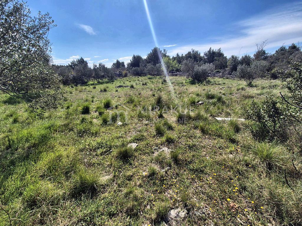 DUBRAVA KOD TISNA