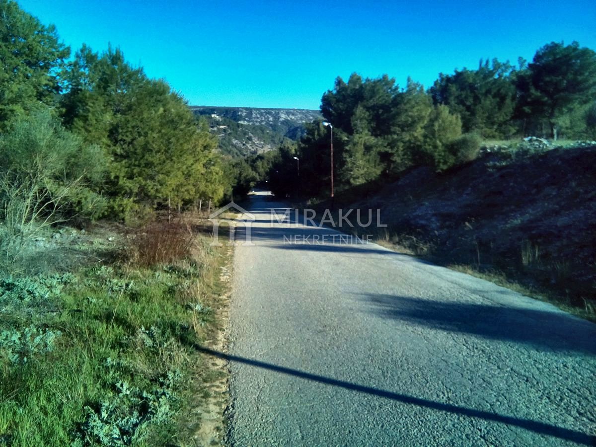 BIĆINE