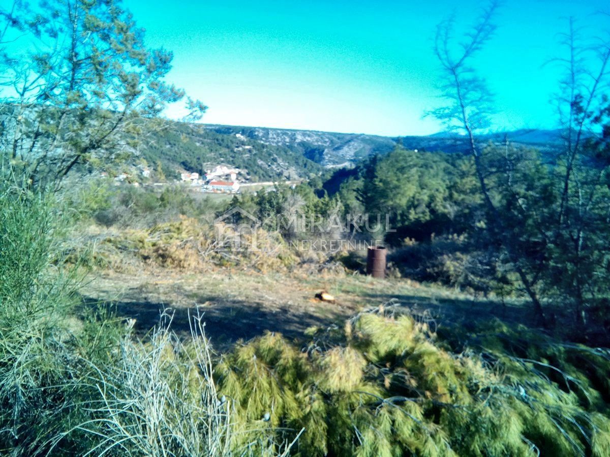 BIĆINE
